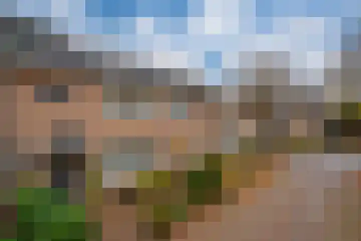 De Hazelaar 65 Zevenaar thumbnail 6