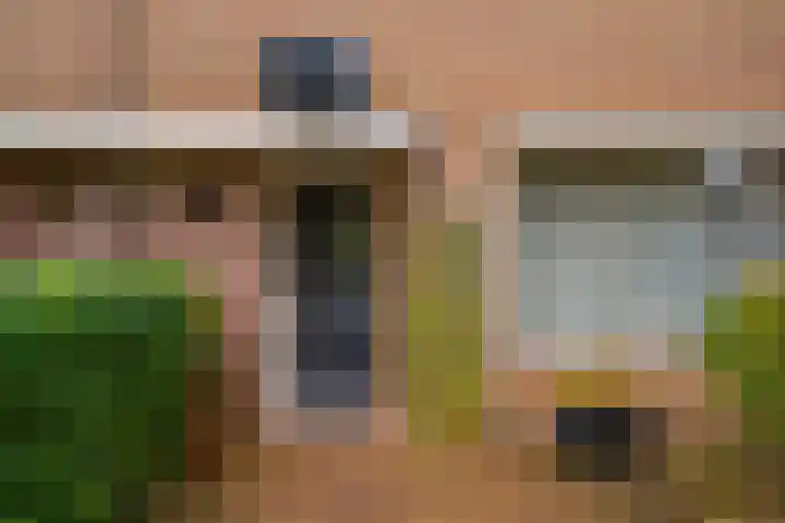 De Hazelaar 65 Zevenaar thumbnail 7