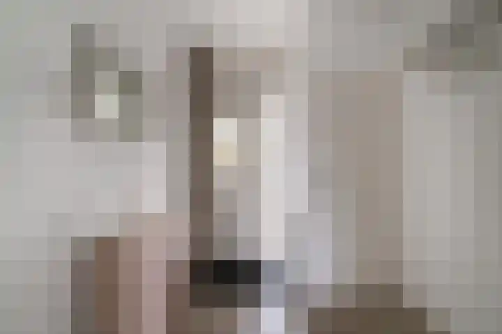 De Hazelaar 65 Zevenaar thumbnail 8