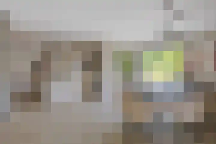 De Hazelaar 7 Valkenswaard thumbnail 11