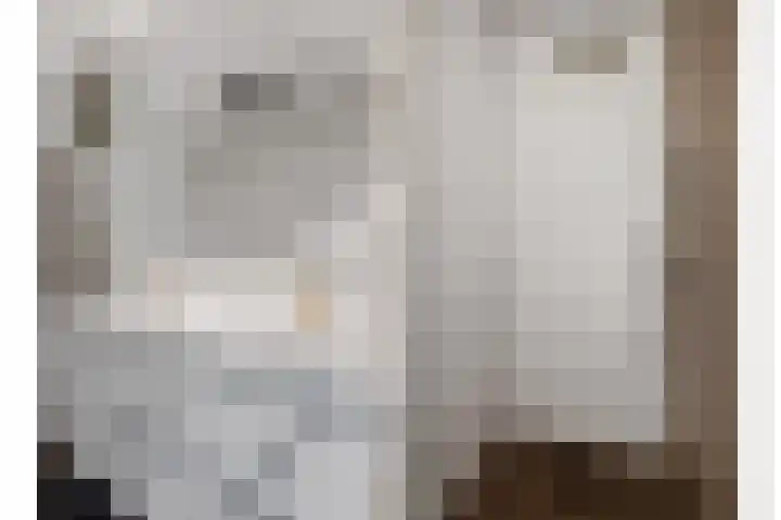 De Hazelaar 7 Valkenswaard thumbnail 22