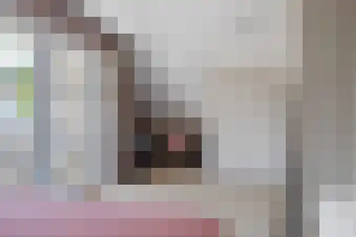 De Hazelaar 7 Valkenswaard thumbnail 27