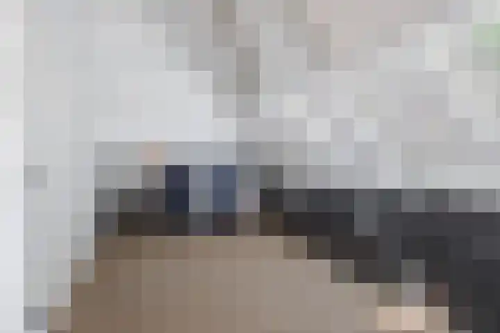 De Hazelaar 7 Valkenswaard thumbnail 34