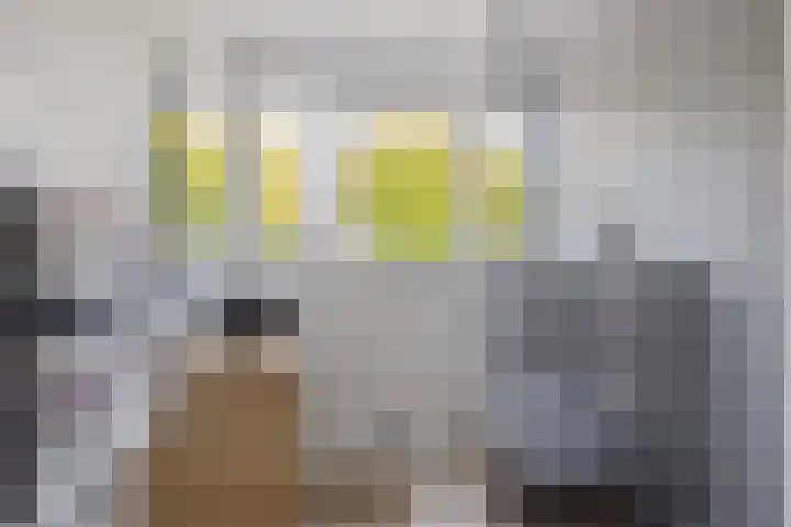 De Hazelaar 7 Valkenswaard thumbnail 35