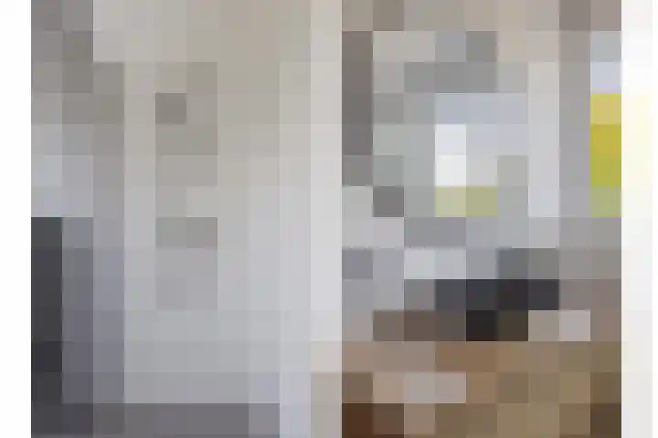 De Hazelaar 7 Valkenswaard thumbnail 36
