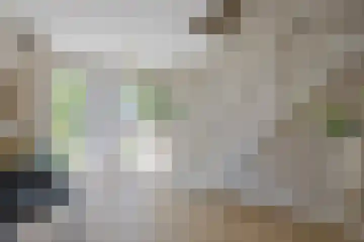 De Hazelaar 7 Valkenswaard thumbnail 4