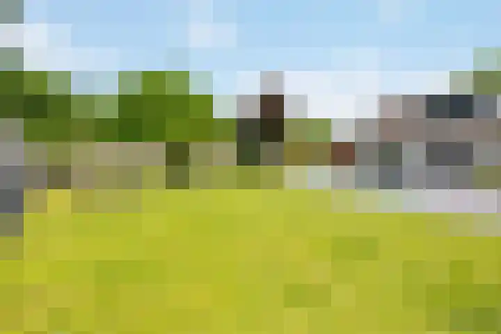 De Hazelaar 7 Valkenswaard thumbnail 40