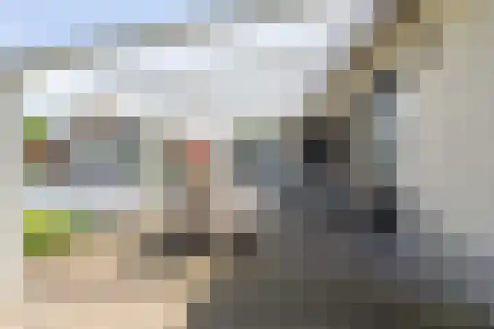 De Hazelaar 7 Valkenswaard thumbnail 42