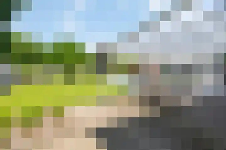 De Hazelaar 7 Valkenswaard thumbnail 43