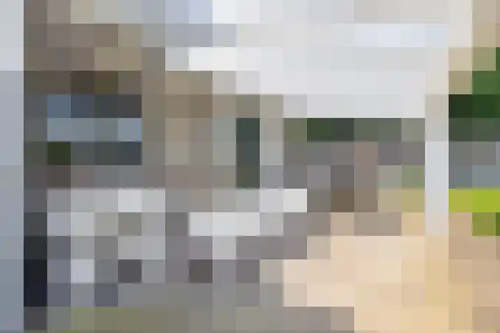 De Hazelaar 7 Valkenswaard thumbnail 44