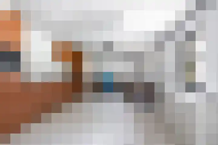 De Hazelaar 7 Valkenswaard thumbnail 45