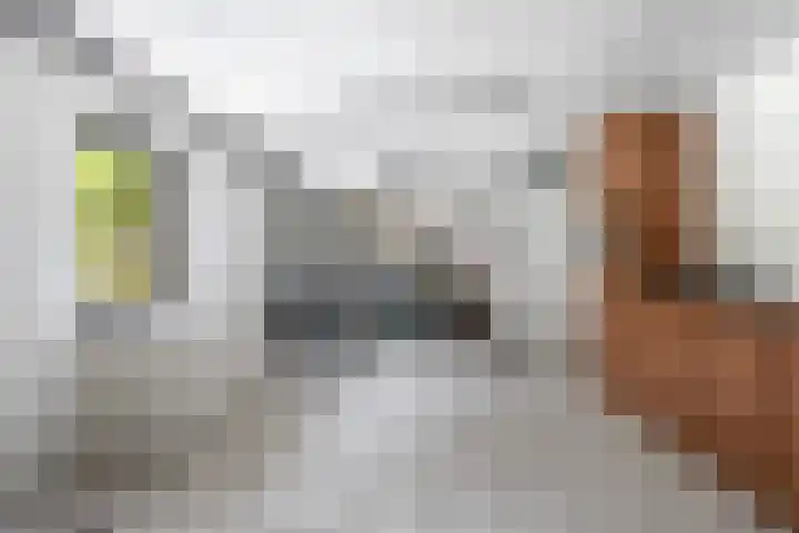 De Hazelaar 7 Valkenswaard thumbnail 46