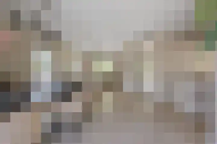 De Hazelaar 7 Valkenswaard thumbnail 5