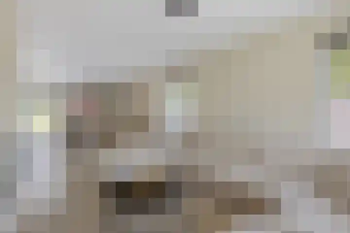 De Hazelaar 7 Valkenswaard thumbnail 8