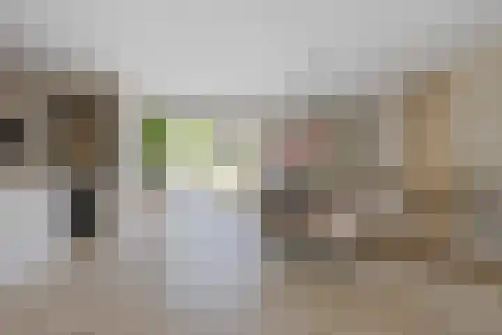 De Hazelaar 7 Valkenswaard thumbnail 9