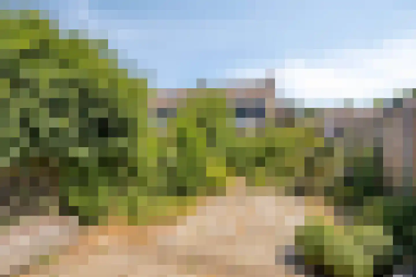 De Hazelaar 9 Duiven thumbnail 17