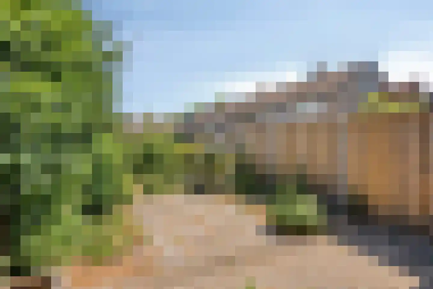 De Hazelaar 9 Duiven thumbnail 18