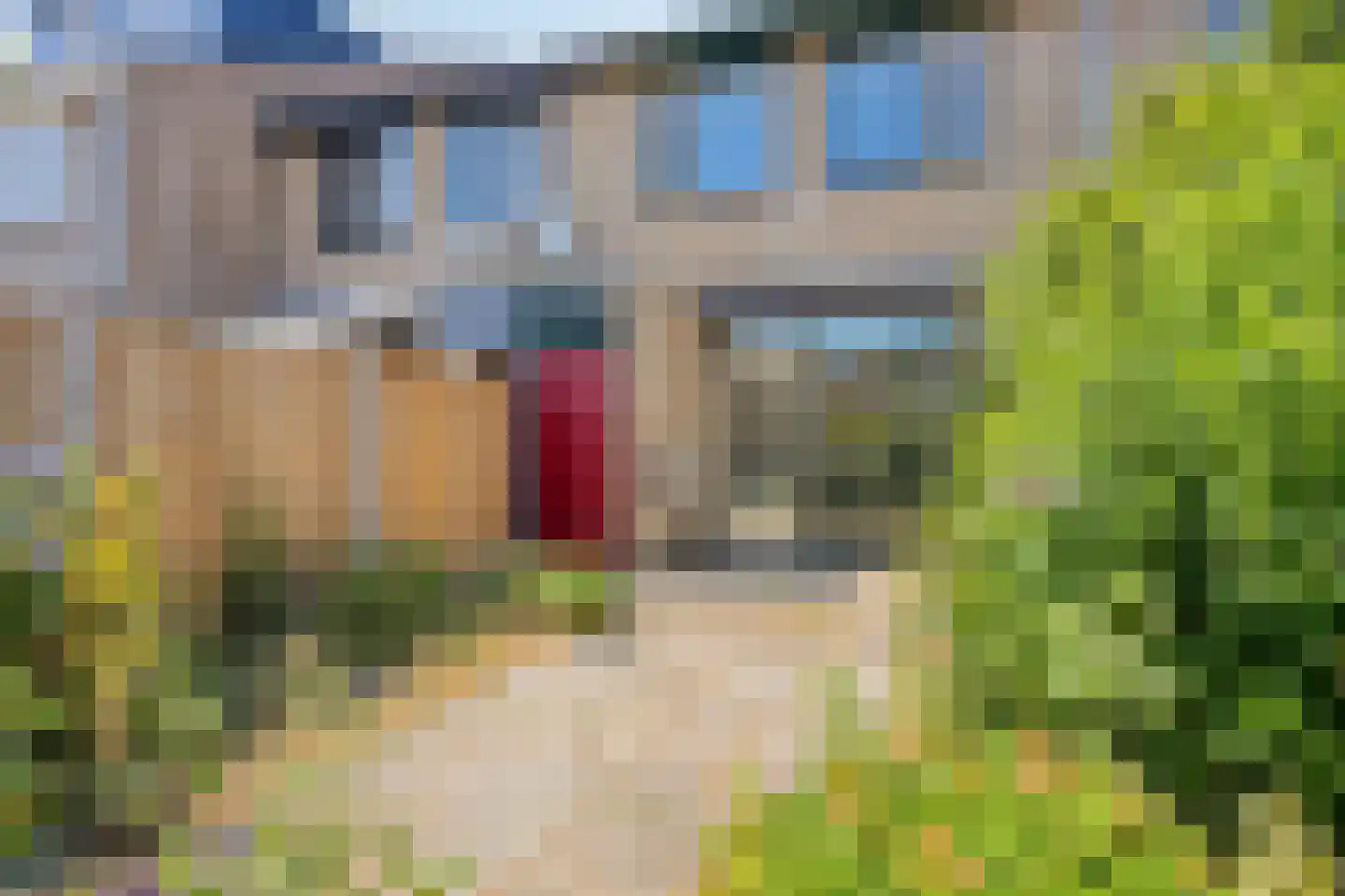 De Hazelaar 9 Duiven thumbnail 19
