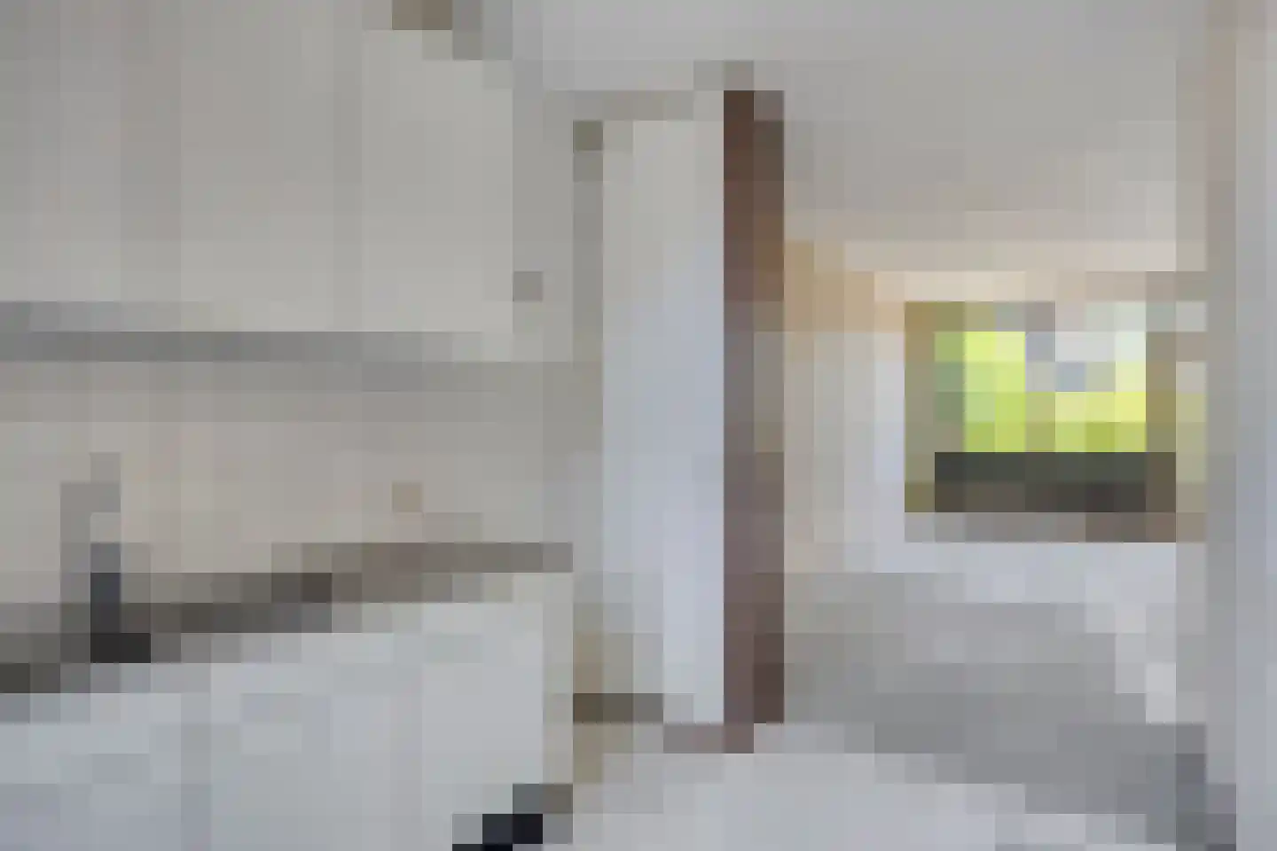 De Hazelaar 9 Duiven thumbnail 25