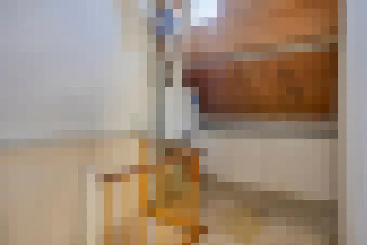 De Hazelaar 9 Duiven thumbnail 37