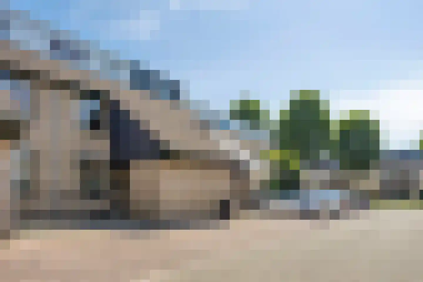 De Hazelaar 9 Duiven thumbnail 7
