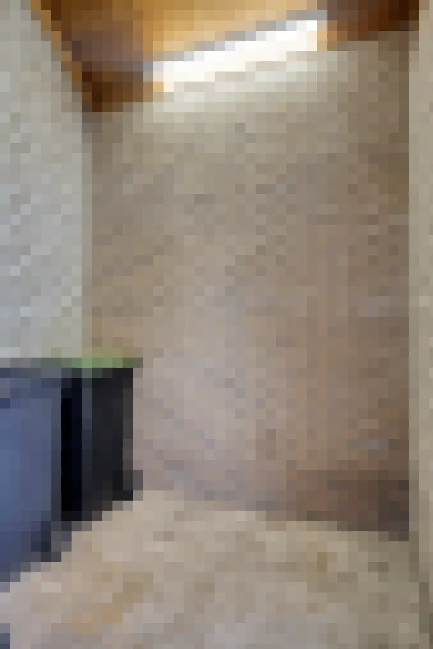 De Hazelaar 9 Duiven thumbnail 9