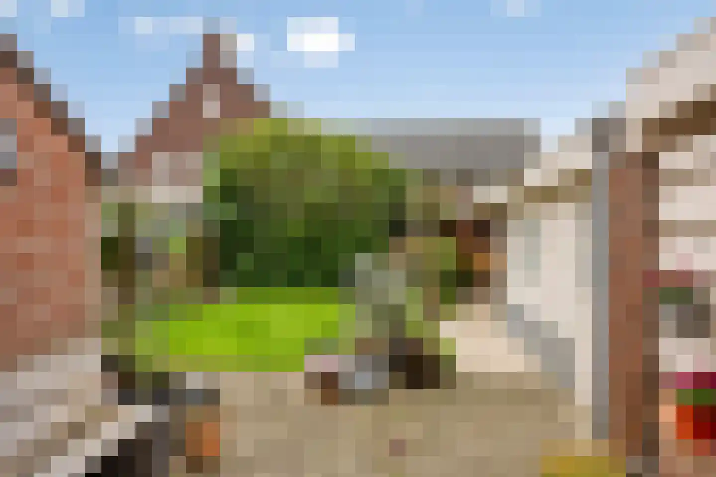 De Hazelaars 50 Boekel thumbnail 30