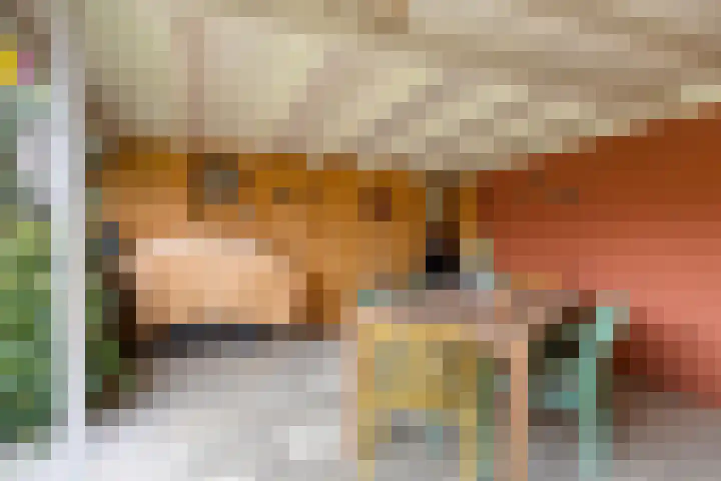 De Hazelaars 50 Boekel thumbnail 32