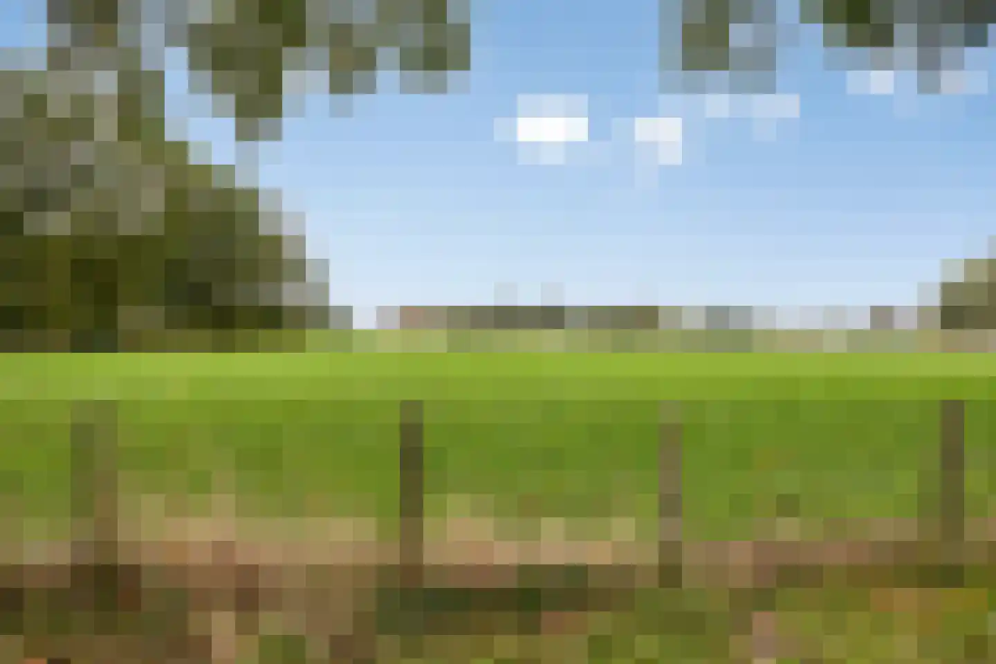 De Hazelaars 50 Boekel thumbnail 34