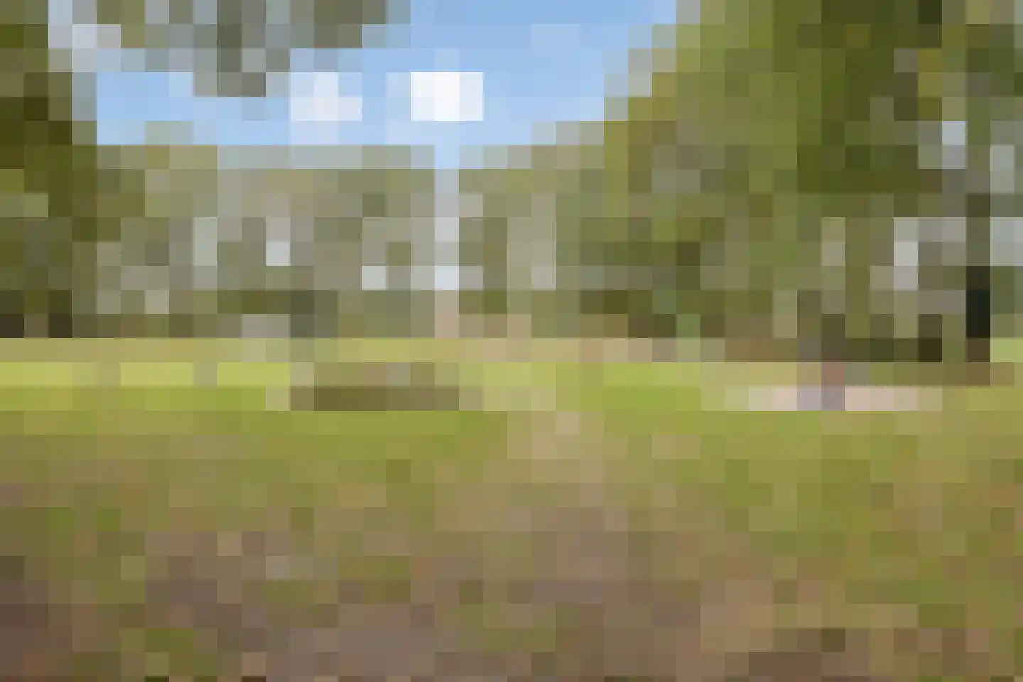 De Hazelaars 50 Boekel thumbnail 35