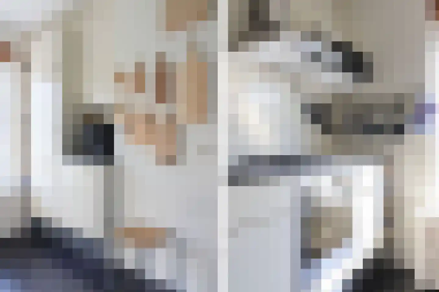 de Heareburch 2 Jirnsum thumbnail 11