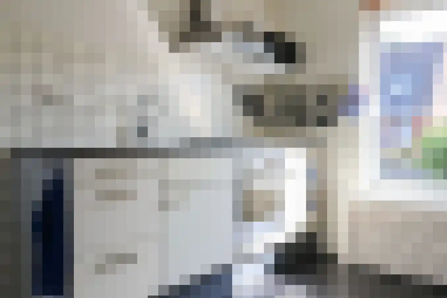 de Heareburch 2 Jirnsum thumbnail 12