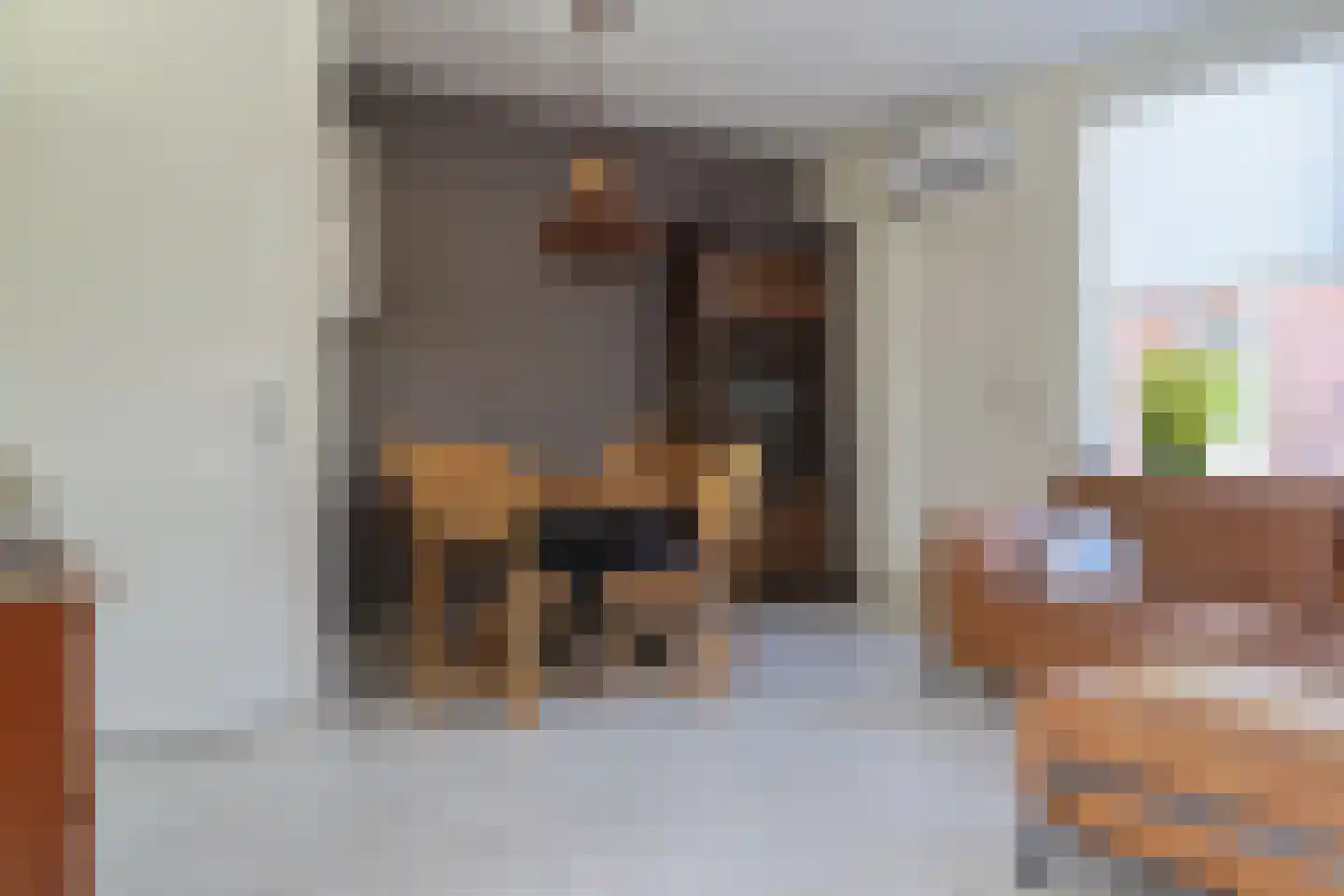 de Heareburch 2 Jirnsum thumbnail 15