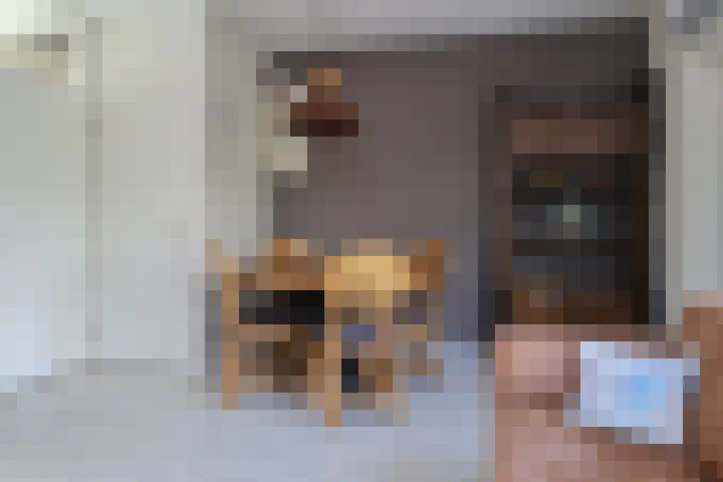 de Heareburch 2 Jirnsum thumbnail 17