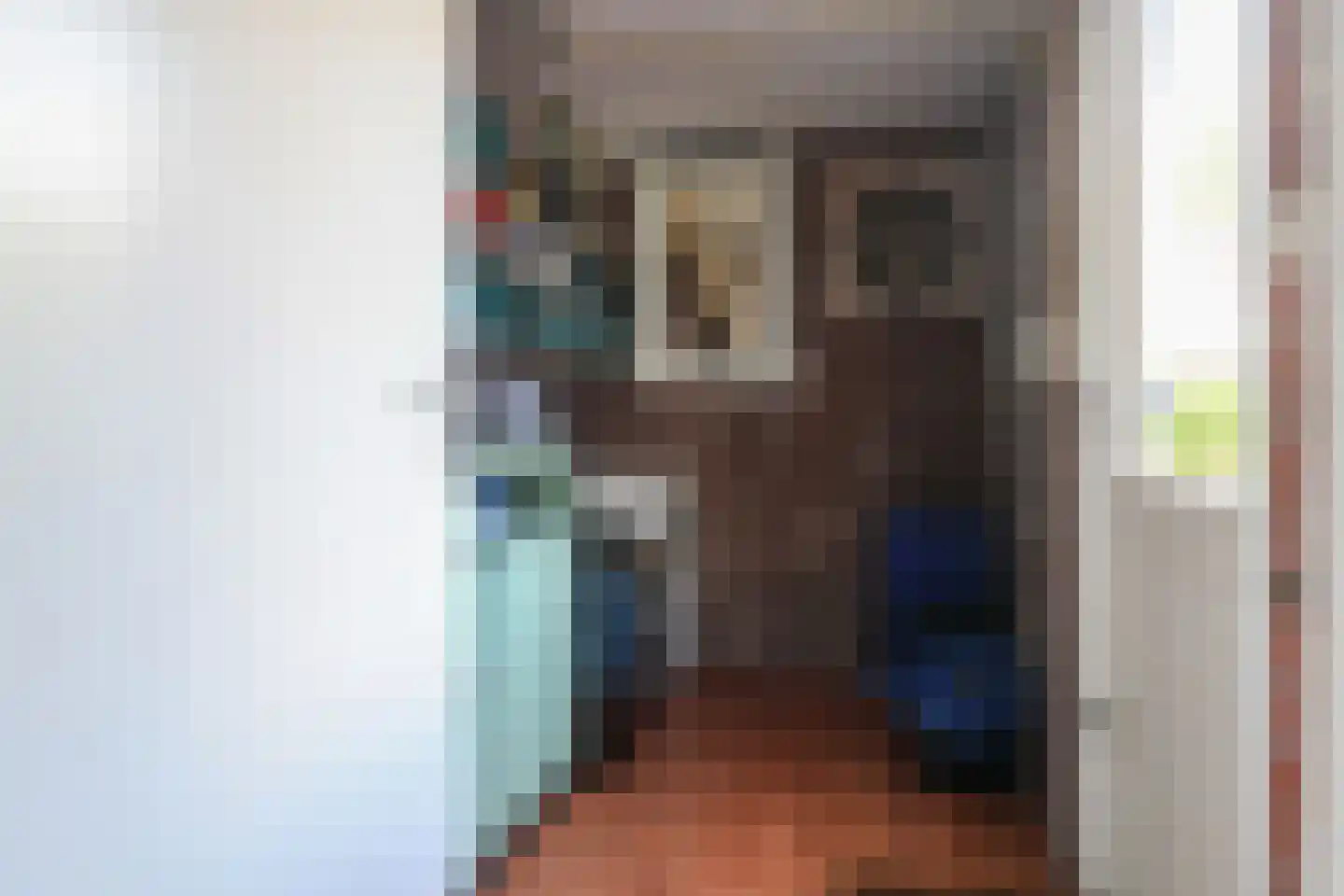 de Heareburch 2 Jirnsum thumbnail 18