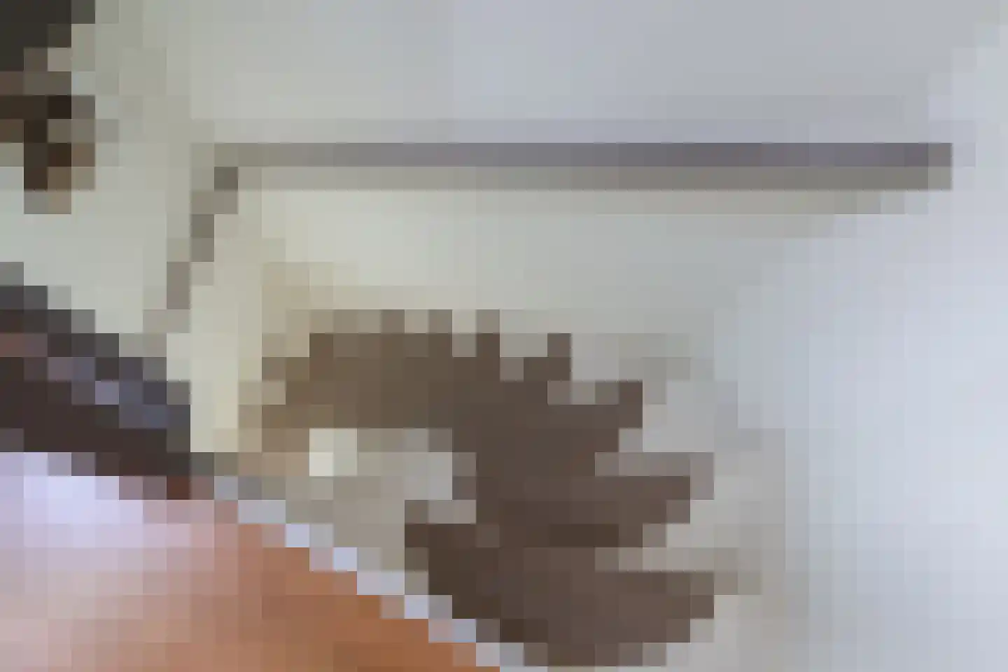 de Heareburch 2 Jirnsum thumbnail 20