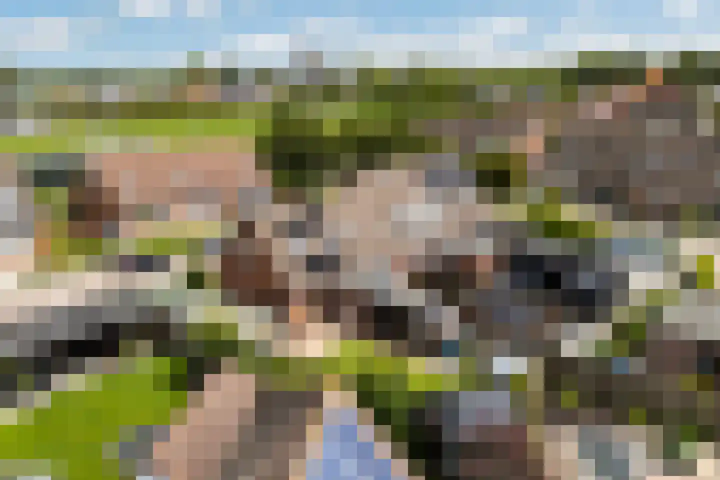 de Heareburch 2 Jirnsum thumbnail 29