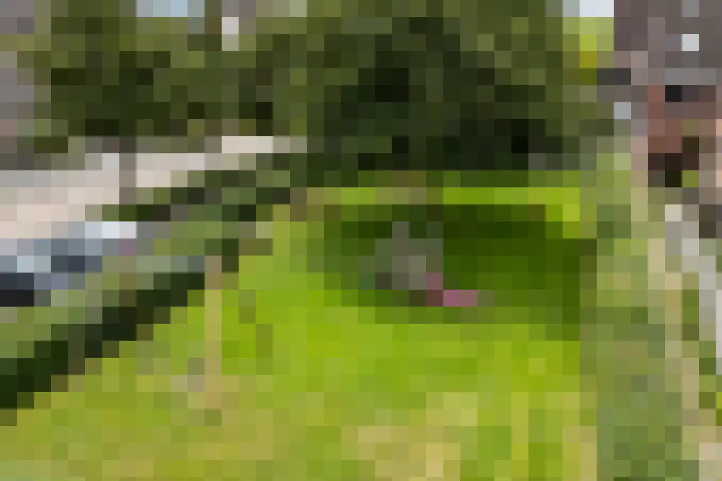 de Heareburch 2 Jirnsum thumbnail 40