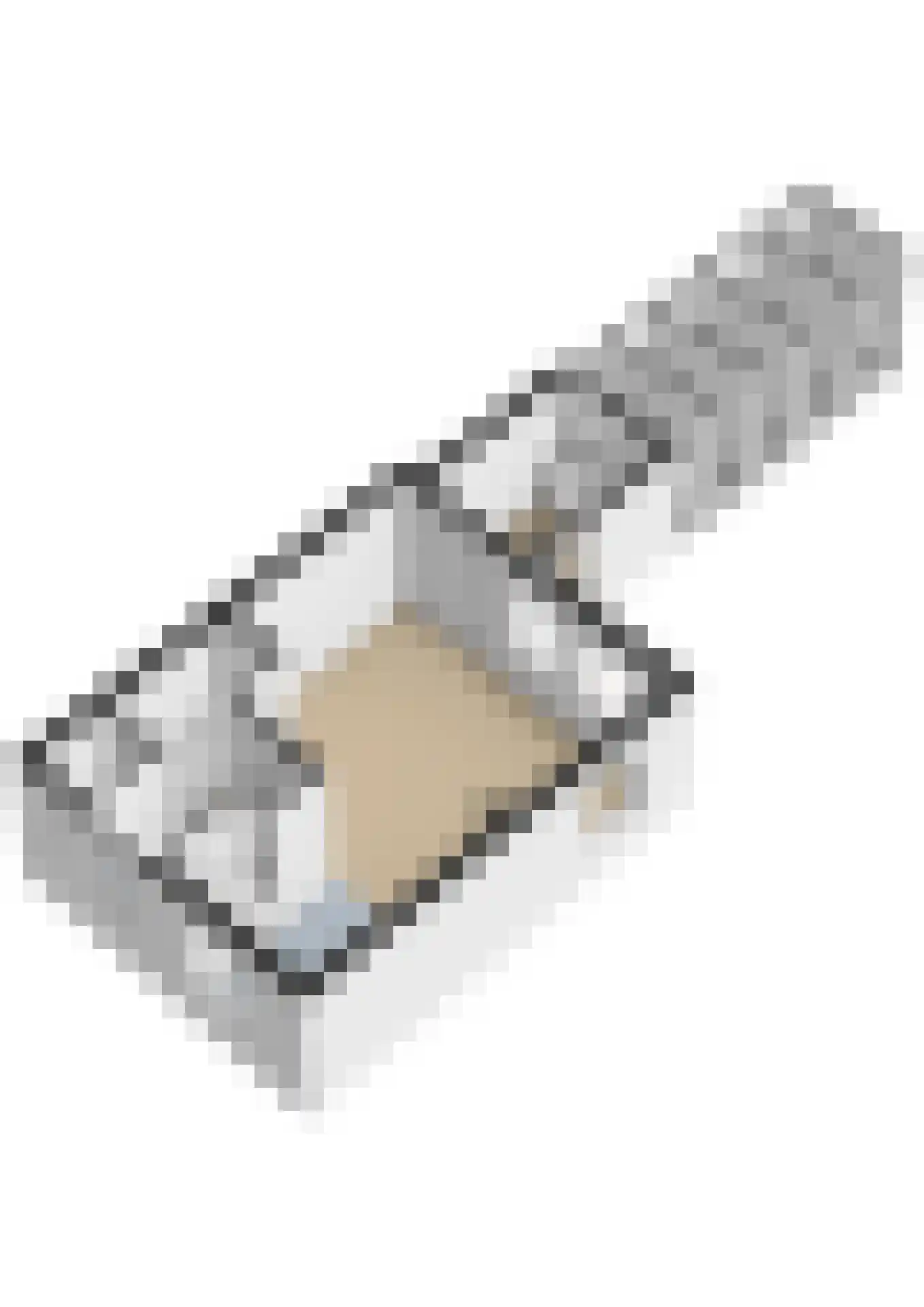 de Heareburch 2 Jirnsum thumbnail 44