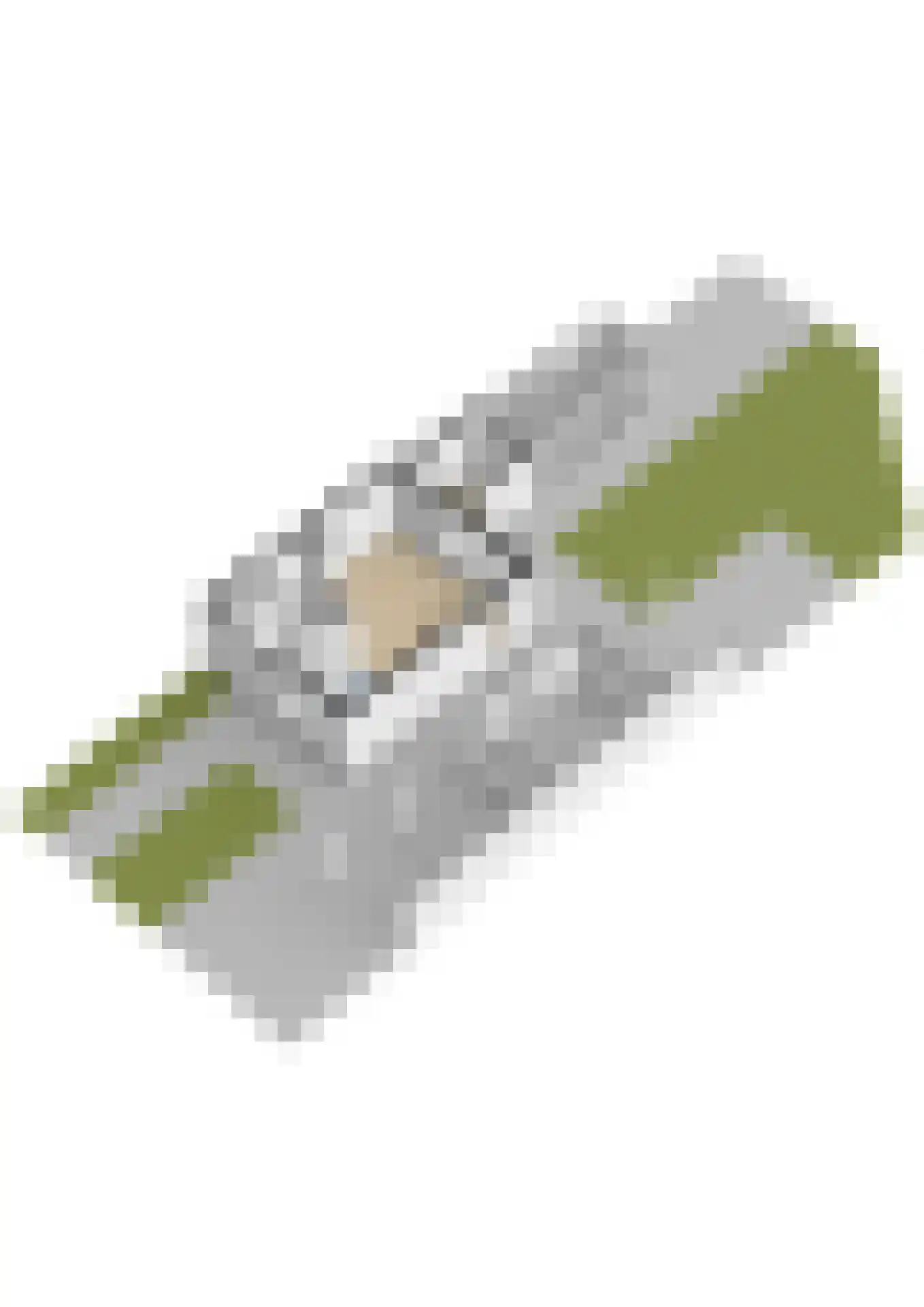 de Heareburch 2 Jirnsum thumbnail 48