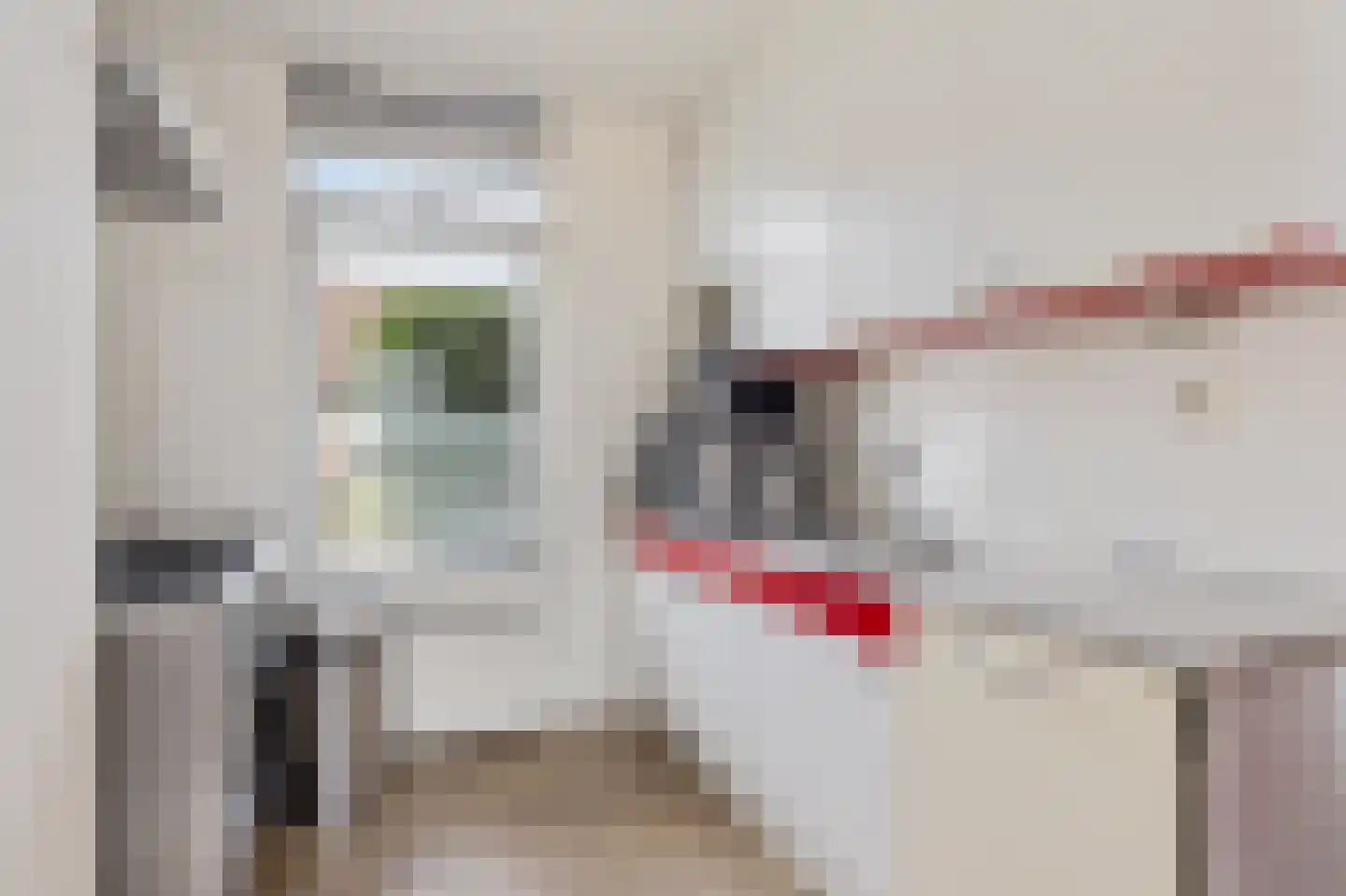 de Heareburch 4 Jirnsum thumbnail 12