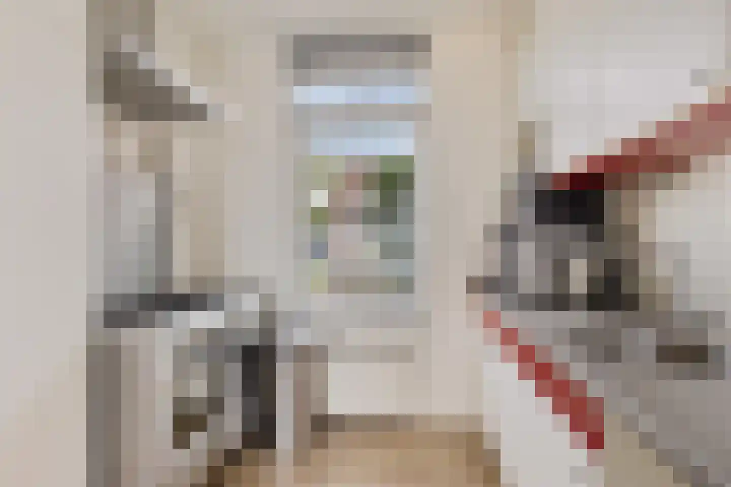 de Heareburch 4 Jirnsum thumbnail 13