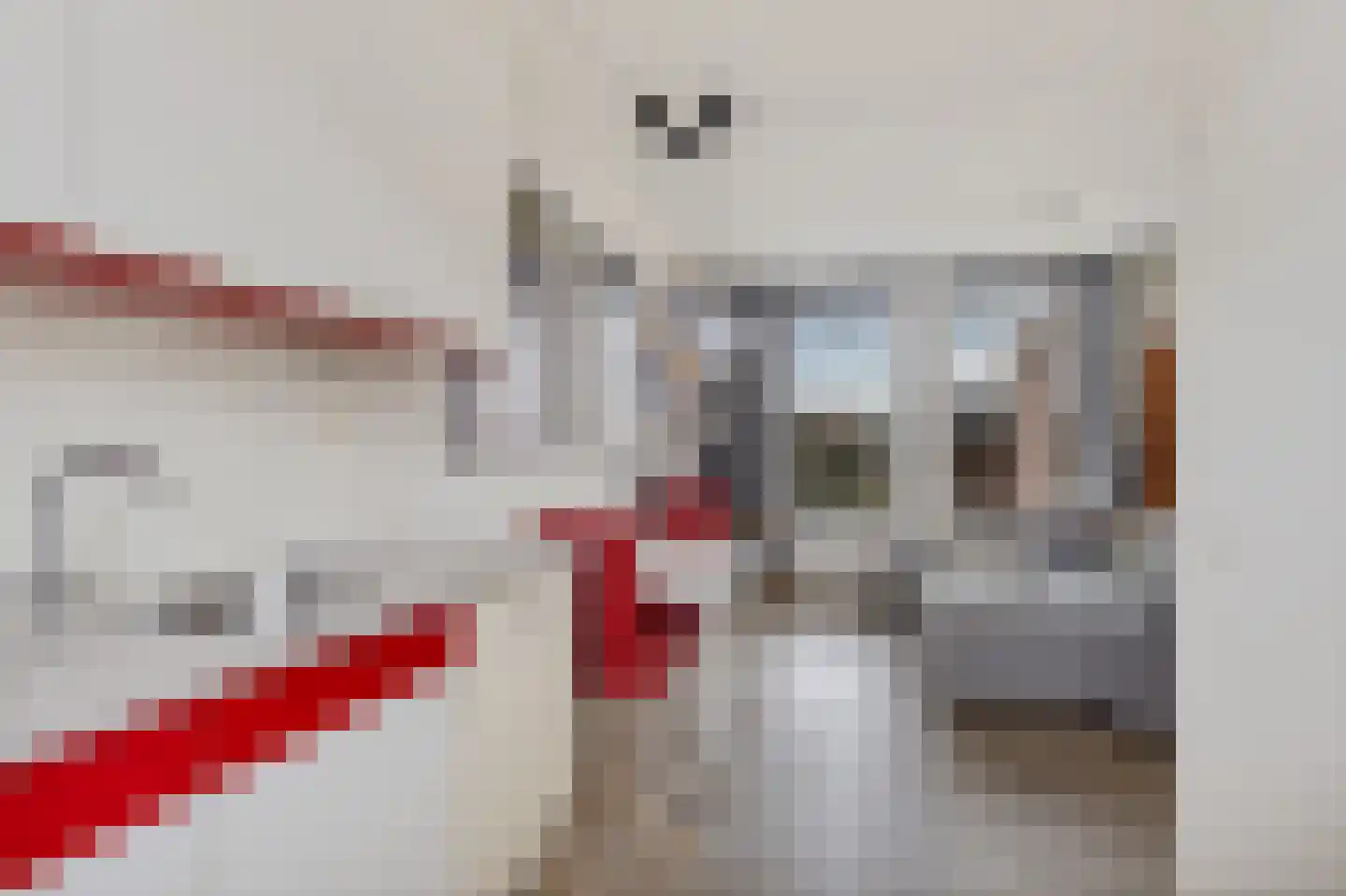 de Heareburch 4 Jirnsum thumbnail 14