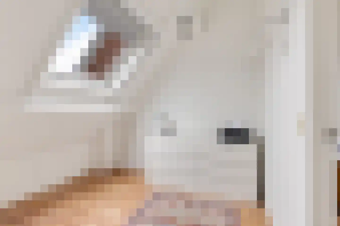 de Heareburch 4 Jirnsum thumbnail 18