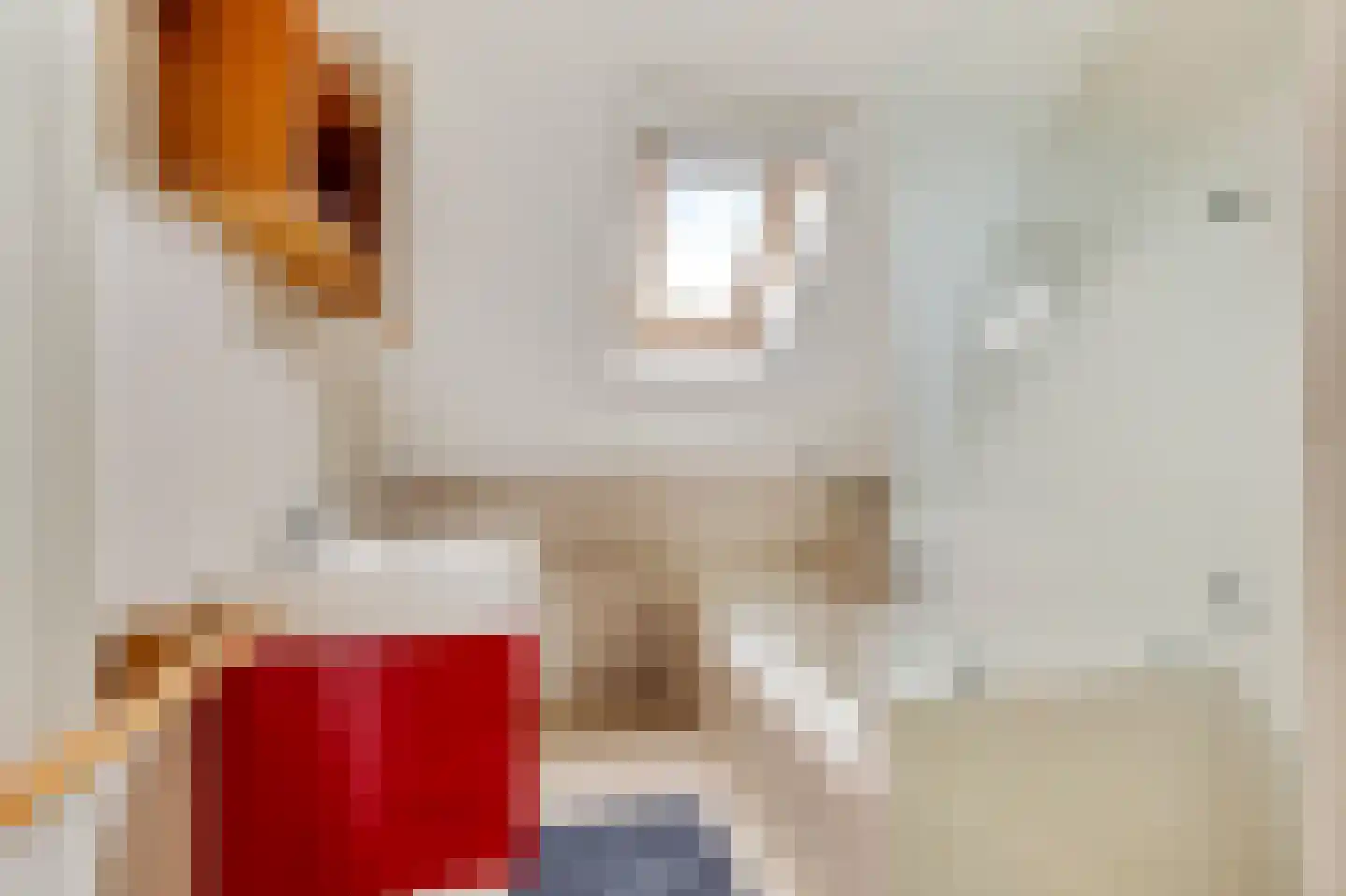de Heareburch 4 Jirnsum thumbnail 24