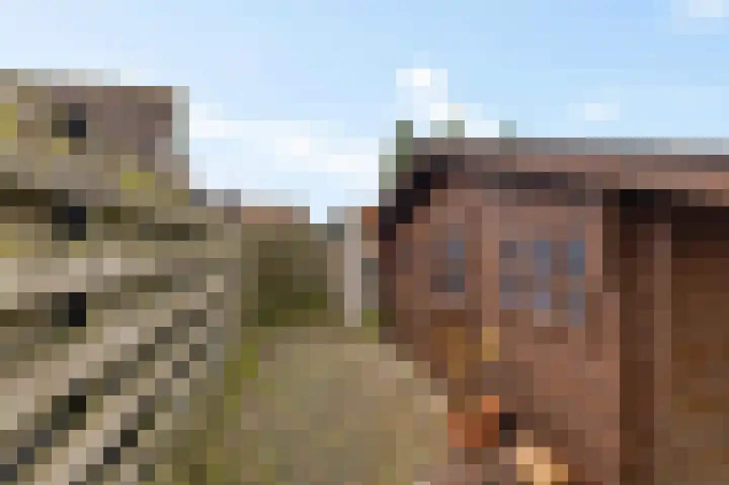 de Heareburch 4 Jirnsum thumbnail 31