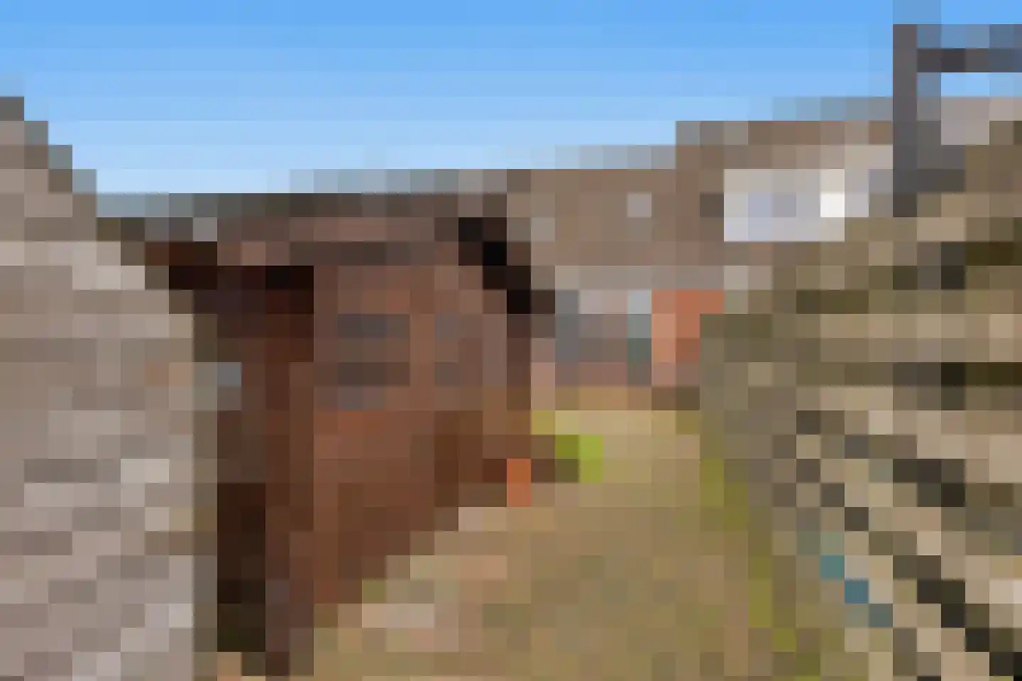 de Heareburch 4 Jirnsum thumbnail 32