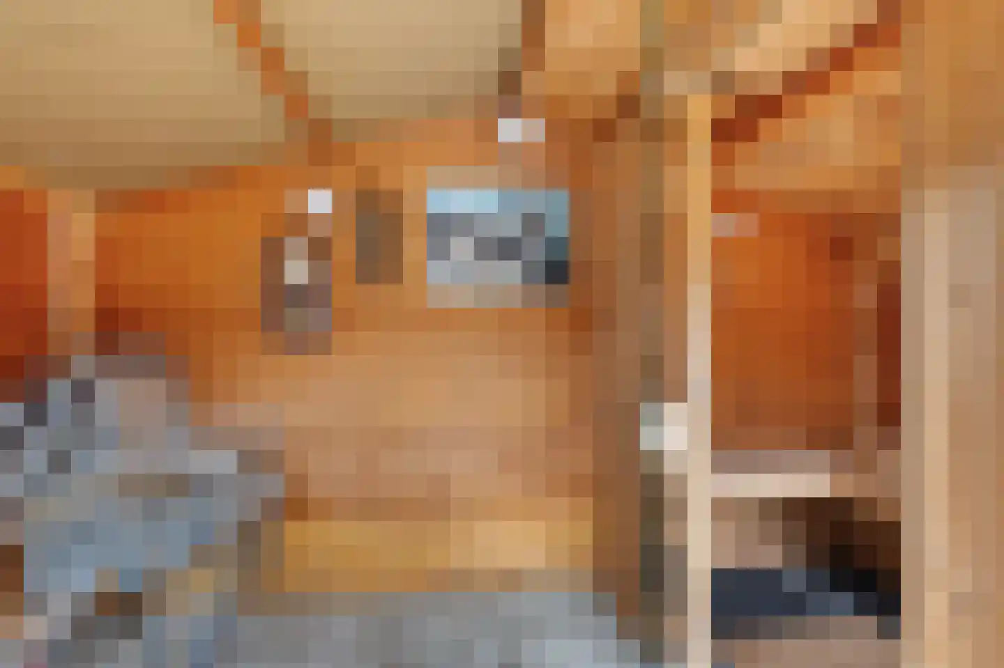 de Heareburch 4 Jirnsum thumbnail 33
