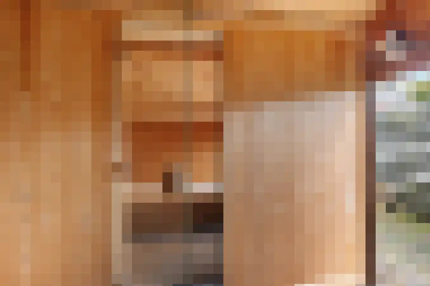 de Heareburch 4 Jirnsum thumbnail 34