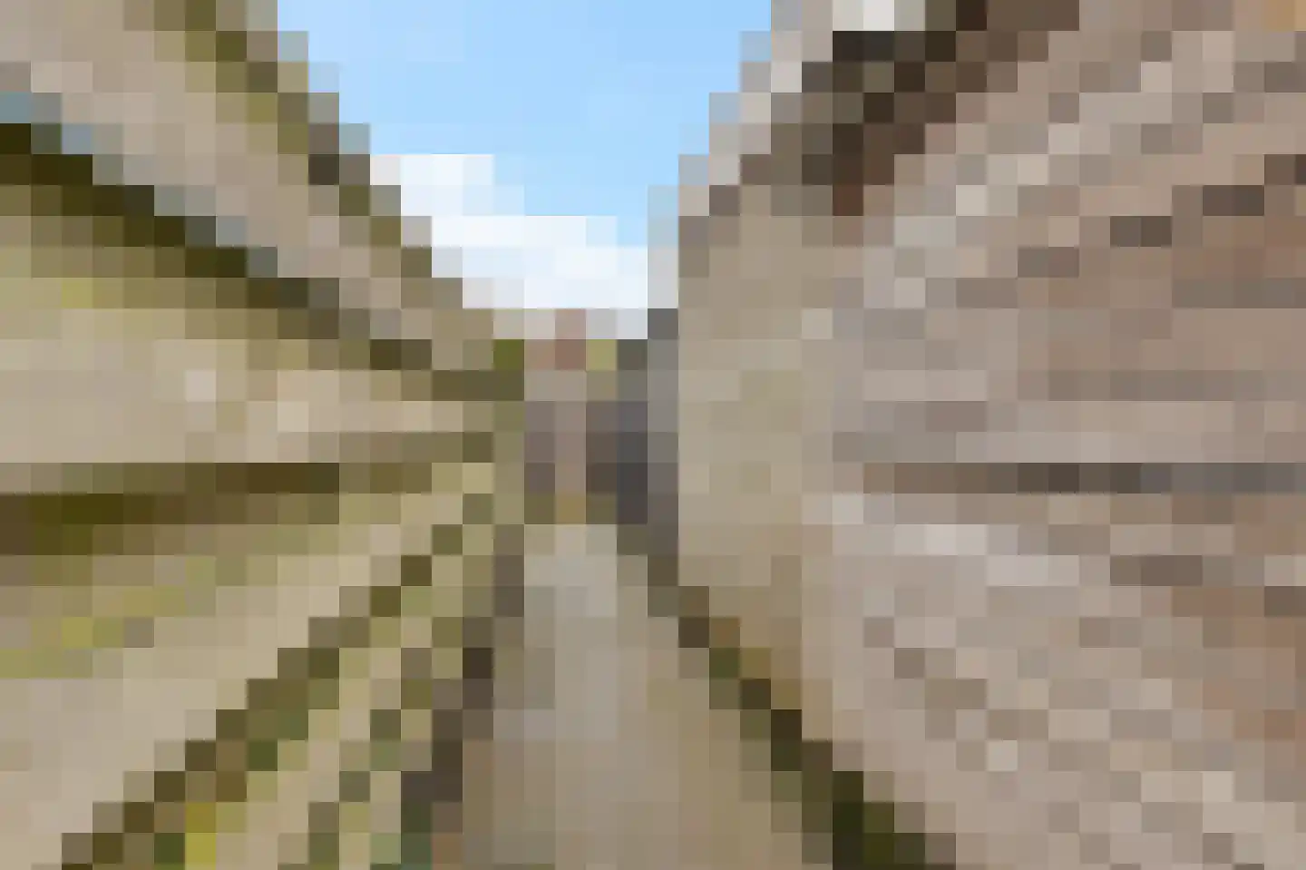 de Heareburch 4 Jirnsum thumbnail 36